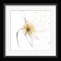 Gilded Graphite Floral VIII Framed Print