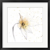 Gilded Graphite Floral VIII Fine Art Print