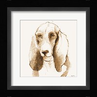 Oberon Brown and Orange Framed Print