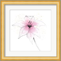 Pink Graphite Flower V Fine Art Print