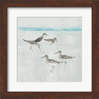 Sandpipers Square I Gray Fine Art Print