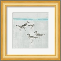 Sandpipers Square I Gray Fine Art Print