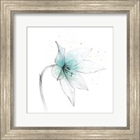 Teal Graphite Flower VIII Fine Art Print