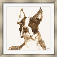 Ulysses Brown and Orange Fine Art Print