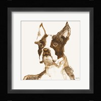 Ulysses Brown and Orange Framed Print