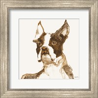 Ulysses Brown and Orange Fine Art Print