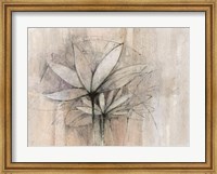 Windflowers Fine Art Print