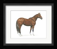 Natural Charm I Framed Print