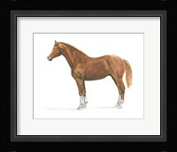 Natural Charm II Framed Print
