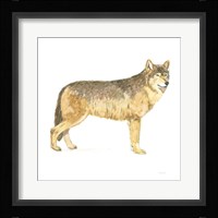 Natural Majesty IV Framed Print