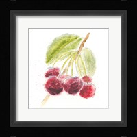 Garden Delight III Fine Art Print