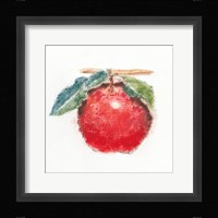 Garden Delight I Framed Print