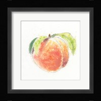 Garden Delight IV Framed Print