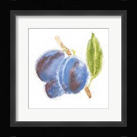 Garden Delight VI Framed Print