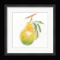 Garden Delight V Framed Print