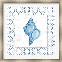 Navy Conch Shell on Newsprint with Gold Fine Art Print