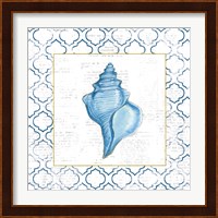 Navy Conch Shell on Newsprint with Gold Fine Art Print