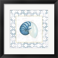 Navy Nautilus Shell on Newsprint with Gold Framed Print