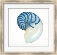 Navy Nautilus Shell Fine Art Print