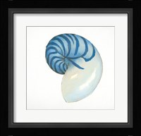 Navy Nautilus Shell Framed Print