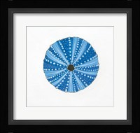 Navy Circular Shell Framed Print