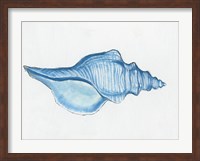 Navy Conch Shell Fine Art Print