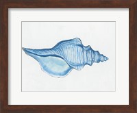 Navy Conch Shell Fine Art Print