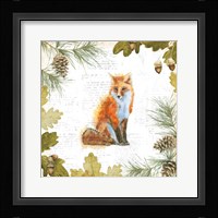 Into the Woods IV Framed Print