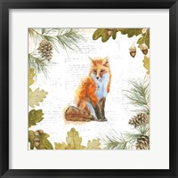 Into the Woods IV Framed Print