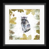 Into the Woods VIII Framed Print