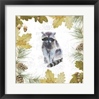 Into the Woods VIII Framed Print
