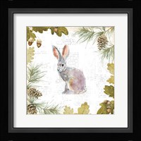 Into the Woods I Framed Print