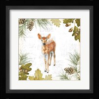 Into the Woods III Framed Print