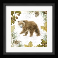 Into the Woods VI Framed Print