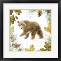 Into the Woods VI Framed Print
