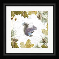 Into the Woods V Framed Print