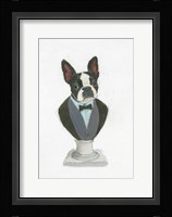 Canine Couture I Framed Print