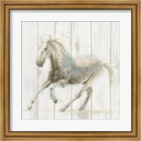 Stallion II on Birch Fine Art Print