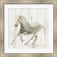 Stallion II on Birch Fine Art Print