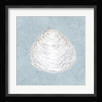 Serene Shells I Framed Print