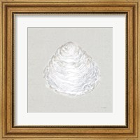 Serene Shells I Tan Fine Art Print