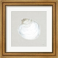 Serene Shells II Tan Fine Art Print