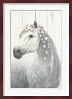 Spirit Stallion II on Wood no Lace Fine Art Print