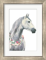 Spirit Stallion I Fine Art Print