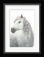 Spirit Stallion II Framed Print