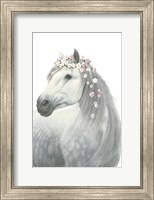 Spirit Stallion II Fine Art Print