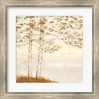 Golden Birch I Off White Fine Art Print