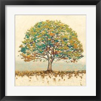 Golden Oak Spice Framed Print