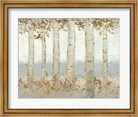 Magnificent Birch Grove Fine Art Print