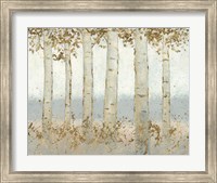 Magnificent Birch Grove Fine Art Print
